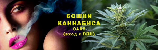 индика Волоколамск
