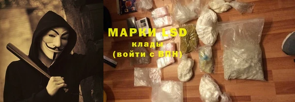 прущие крисы Бородино