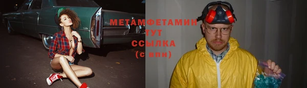 индика Волоколамск