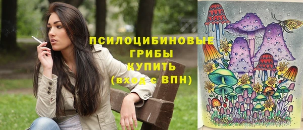 индика Волоколамск