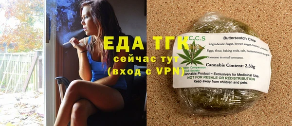 индика Волоколамск