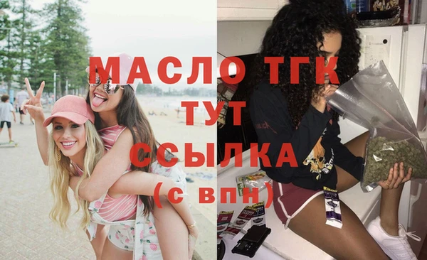 индика Волоколамск