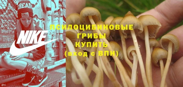 индика Волоколамск