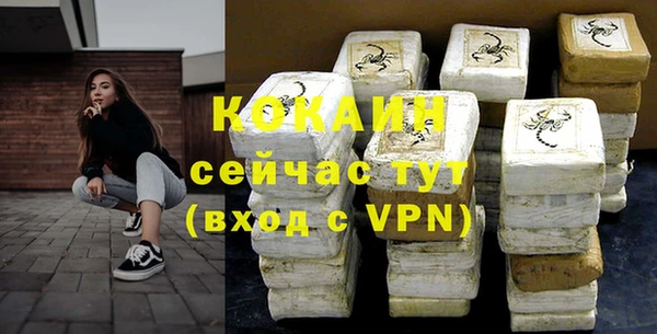 индика Волоколамск