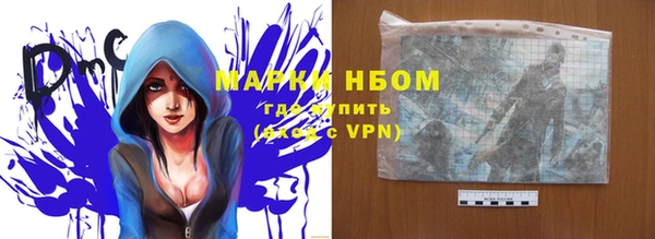 индика Волоколамск